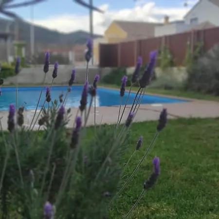Xauxa - Vida Mediterranea