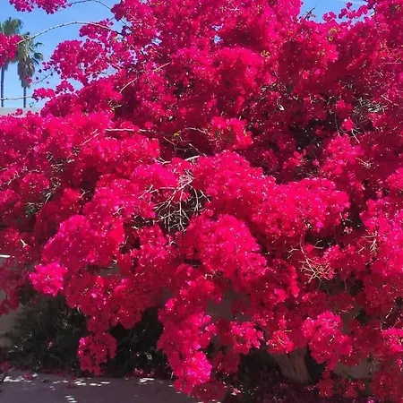 Villa Xauxa - Vida Mediterranea