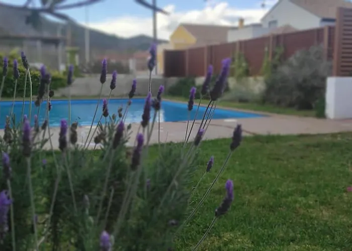 Xauxa - Vida Mediterranea