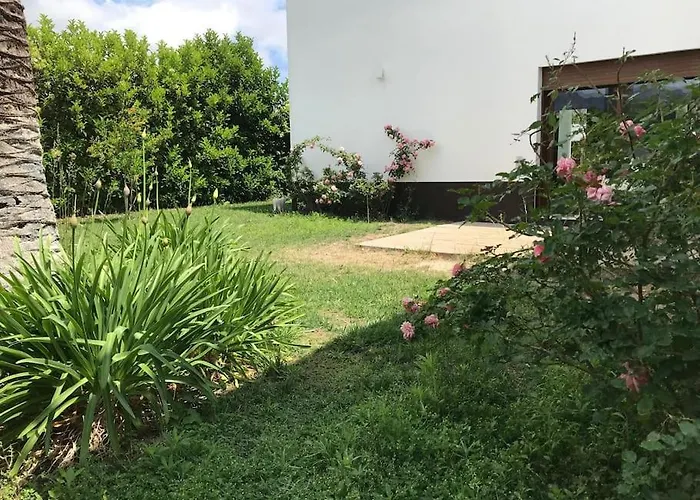 Vila Xauxa - Vida Mediterranea Gandía