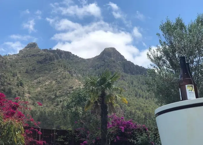 Xauxa - Vida Mediterranea Gandía