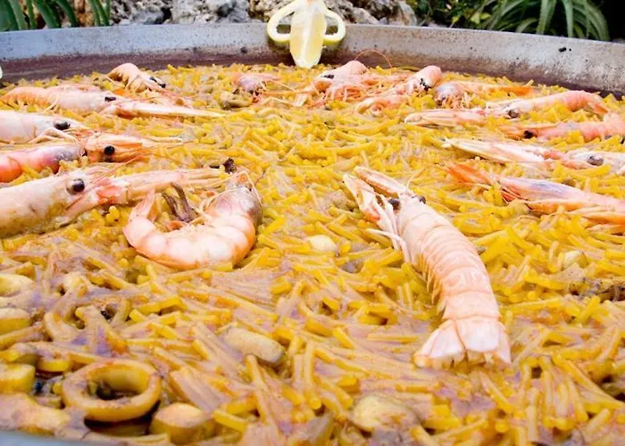 Xauxa - Vida Mediterranea Gandía