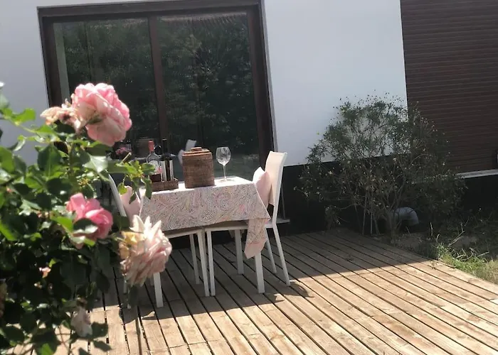 Xauxa - Vida Mediterranea * Gandía