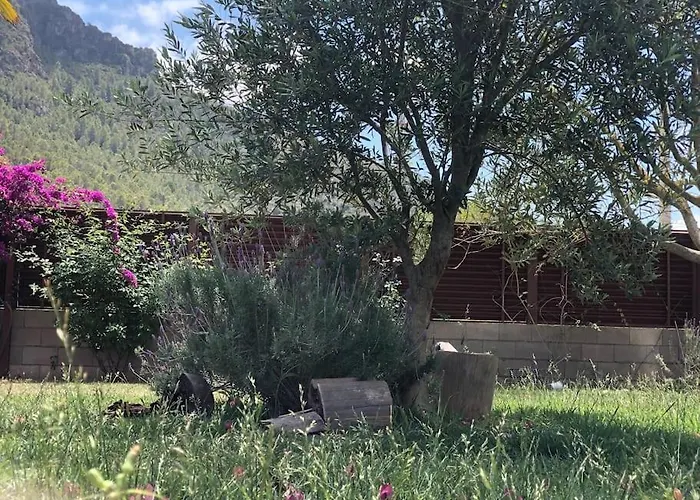 Xauxa - Vida Mediterranea *