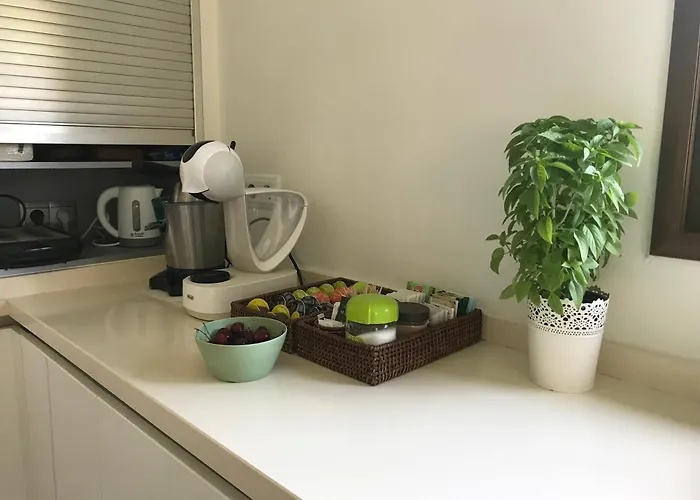 Xauxa - Vida Mediterranea *