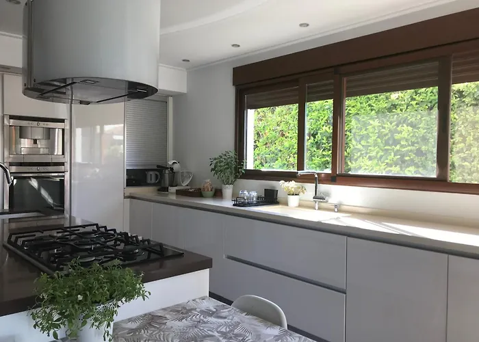 Xauxa - Vida Mediterranea * Gandía